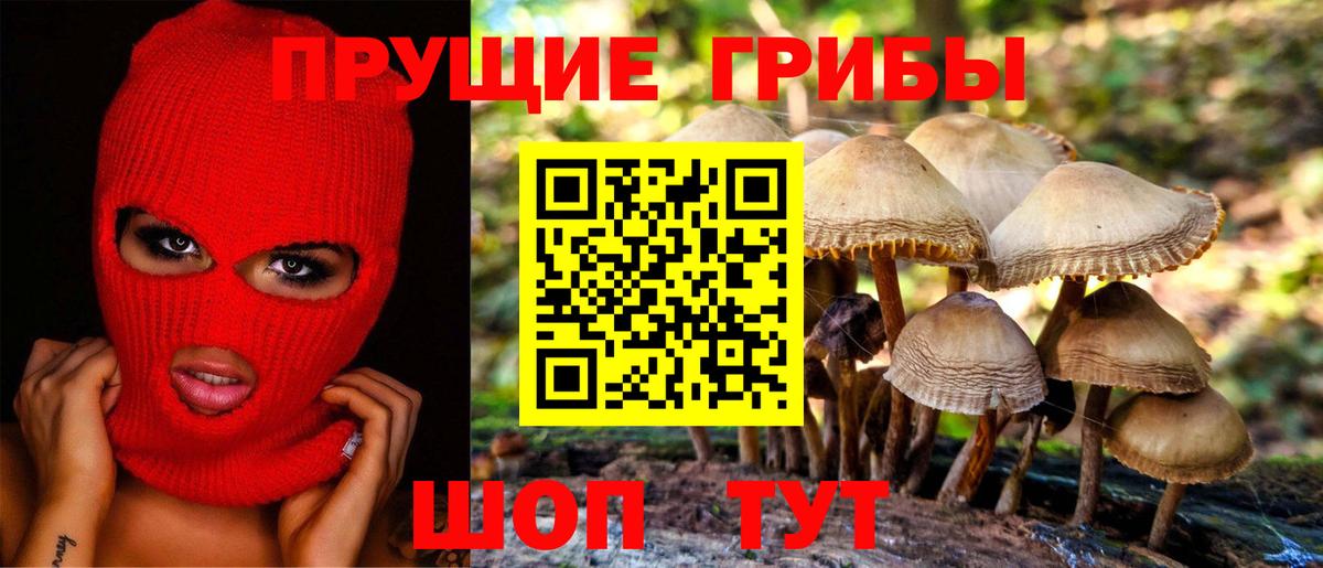 Галлюциногенные грибы Psilocybe Ростов-на-Дону